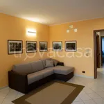 Rent 2 bedroom apartment of 55 m² in Torino