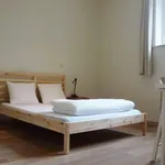 Rent a room of 120 m² in brussels