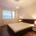 Rent 3 bedroom apartment of 70 m² in Brno