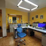 Affitto 2 camera appartamento di 50 m² in Orbassano