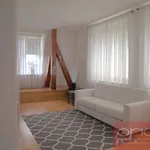 Rent 1 bedroom apartment in Capital City of Prague