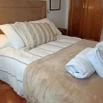 Rent 1 bedroom apartment of 60 m² in madrid