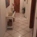 Rent 2 bedroom apartment of 50 m² in Ischia