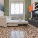 Rent 1 bedroom apartment of 30 m² in Milano