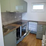 Rent 2 bedroom apartment of 47 m² in Prague