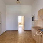 Rent 1 bedroom apartment of 66 m² in Písek