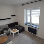 Rent 1 bedroom apartment of 20 m² in ul. Mikołaja Reja