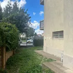 Rent 1 bedroom apartment of 27 m² in Grosseto