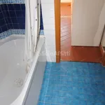 Rent 3 bedroom apartment of 60 m² in Livorno