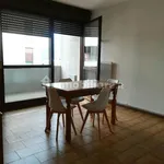 Rent 1 bedroom apartment of 38 m² in Trento