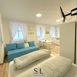 Rent 1 bedroom apartment in Liberec