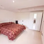 Rent 1 bedroom apartment of 40 m² in Bologna