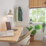 Alquilar 7 dormitorio apartamento en Barcelona