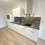 Rent 1 bedroom apartment of 54 m² in Helmond