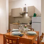 Rent 1 bedroom apartment in florence