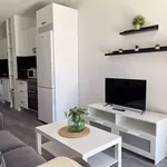 Rent 1 bedroom apartment in Madrid