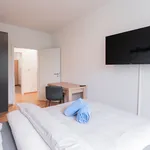 Miete 2 Schlafzimmer wohnung von 52 m² in Magdeburg