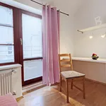 Rent 1 bedroom apartment of 28 m² in Prague