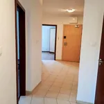 Rent 3 bedroom apartment of 81 m² in Poznan