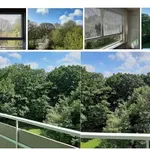 Rent 3 bedroom apartment of 60 m² in Kassel