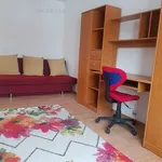 Rent 1 bedroom apartment of 28 m² in Timișoara