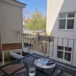 Pronajměte si pokoj o rozloze 107 m² v Brno