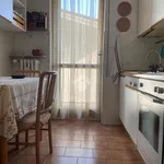 Rent 3 bedroom apartment of 80 m² in Novara