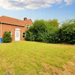 Rent 4 bedroom house of 77 m² in Norwich