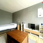 Rent 1 bedroom apartment of 37 m² in Frýdek-Místek