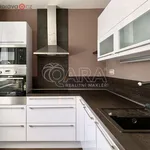 Rent 2 bedroom apartment of 48 m² in Brno