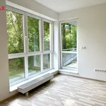 Pronájem bytu 2+kk 56m²