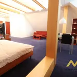 Rent 1 bedroom apartment of 98 m² in Hradec Králové