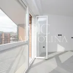 Rent 4 bedroom apartment of 195 m² in Roma