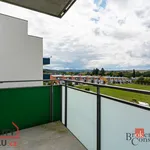 Rent 2 bedroom apartment of 55 m² in Teplá