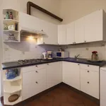 Rent 1 bedroom apartment of 50 m² in Florence