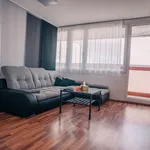 Pronajměte si 1 ložnic/e byt o rozloze 55 m² v Prague