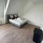 Huur 2 slaapkamer appartement van 40 m² in Haarlem