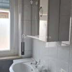 Rent 3 bedroom apartment of 80 m² in Novara