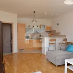 Rent 1 bedroom apartment of 38 m² in České Budějovice