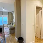 Rent 1 bedroom apartment of 60 m² in madrid