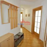 Rent 2 bedroom apartment of 47 m² in Prague