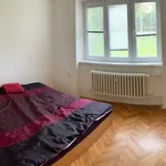 Rent 1 bedroom apartment in Ústí nad Orlicí