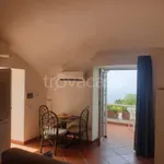 Rent 2 bedroom apartment of 40 m² in Capri