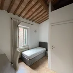 Rent 1 bedroom apartment in Siena