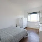 Rent a room in lisbon