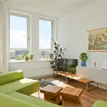 Rent 2 bedroom apartment of 75 m² in Arnhem