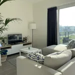 Rent 2 bedroom apartment of 75 m² in Kortrijk