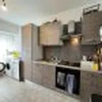 Rent 1 bedroom apartment in Bruges