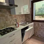 Rent 3 bedroom apartment of 90 m² in Padua