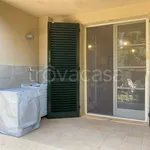 Rent 4 bedroom apartment of 100 m² in Pisa